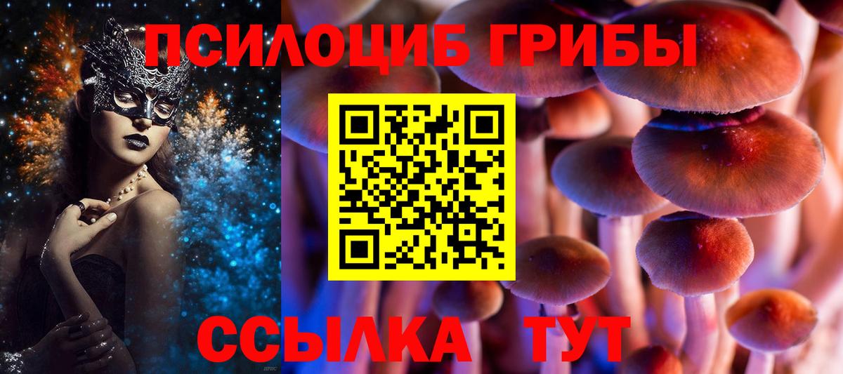 Псилоцибиновые грибы Magic Shrooms Коммунар